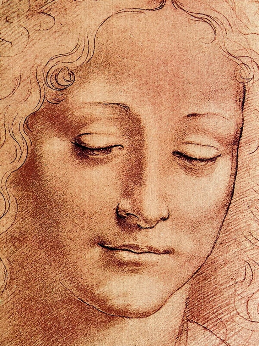 Numbered Leonardo Da Vinci Lithograph From An - 3