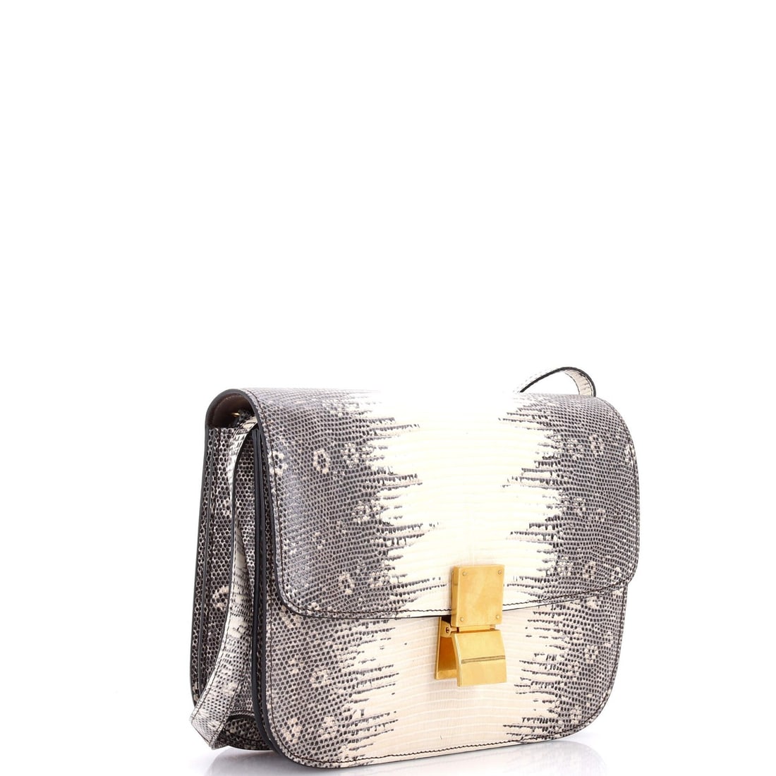 Celine Classic Medium Box Bag in Lizard - 2