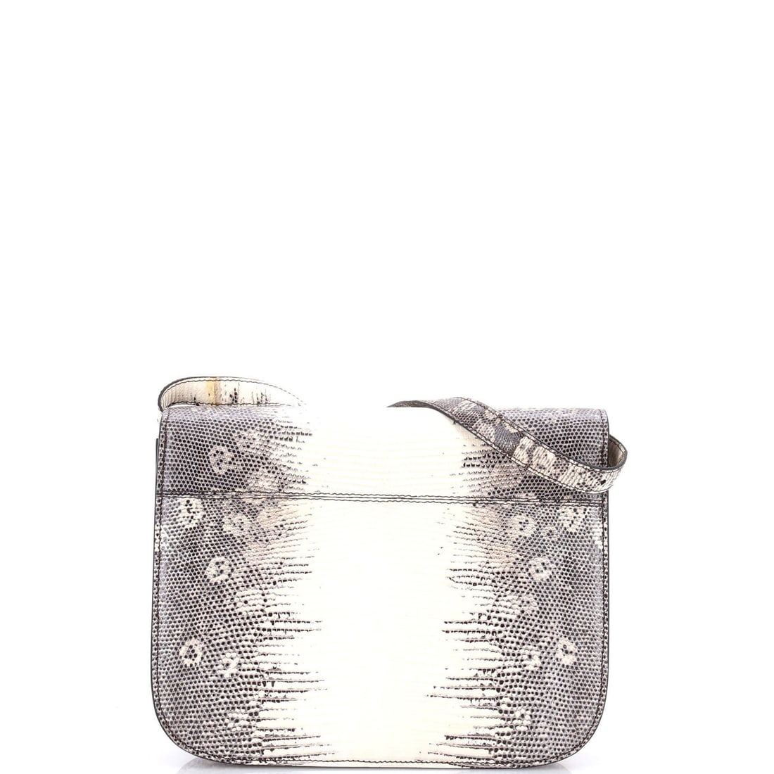 Celine Classic Medium Box Bag in Lizard - 3