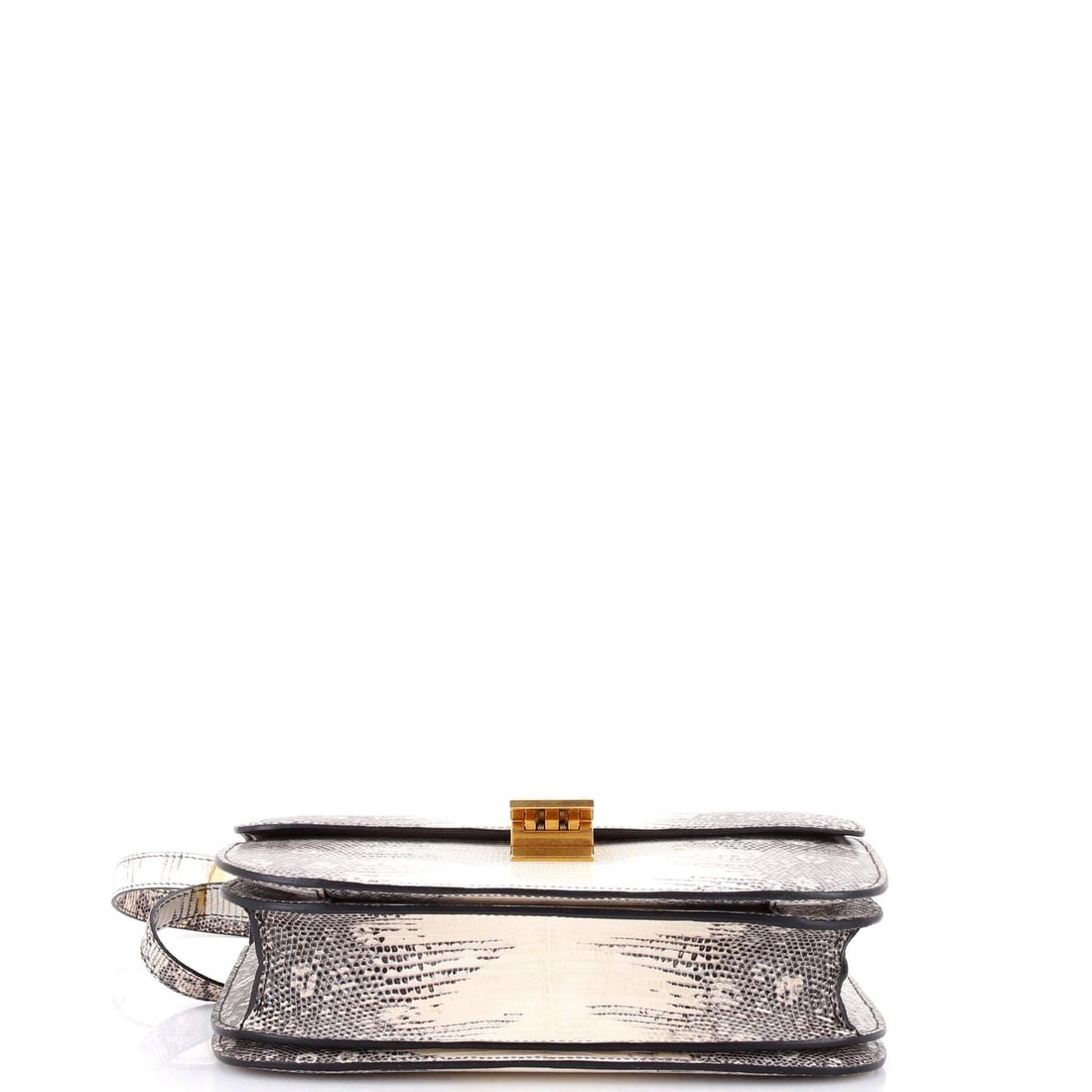 Celine Classic Medium Box Bag in Lizard - 4