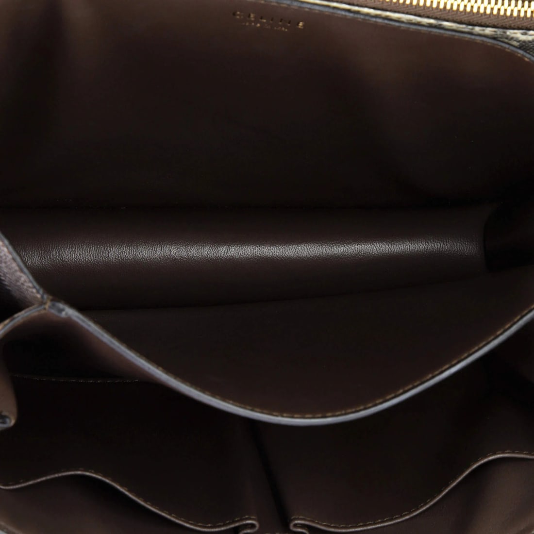 Celine Classic Medium Box Bag in Lizard - 5