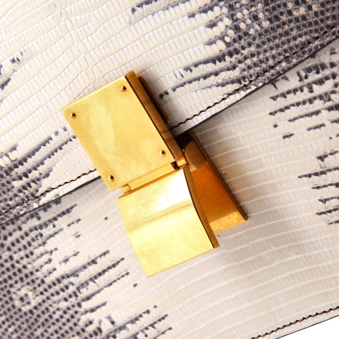 Celine Classic Medium Box Bag in Lizard - 6
