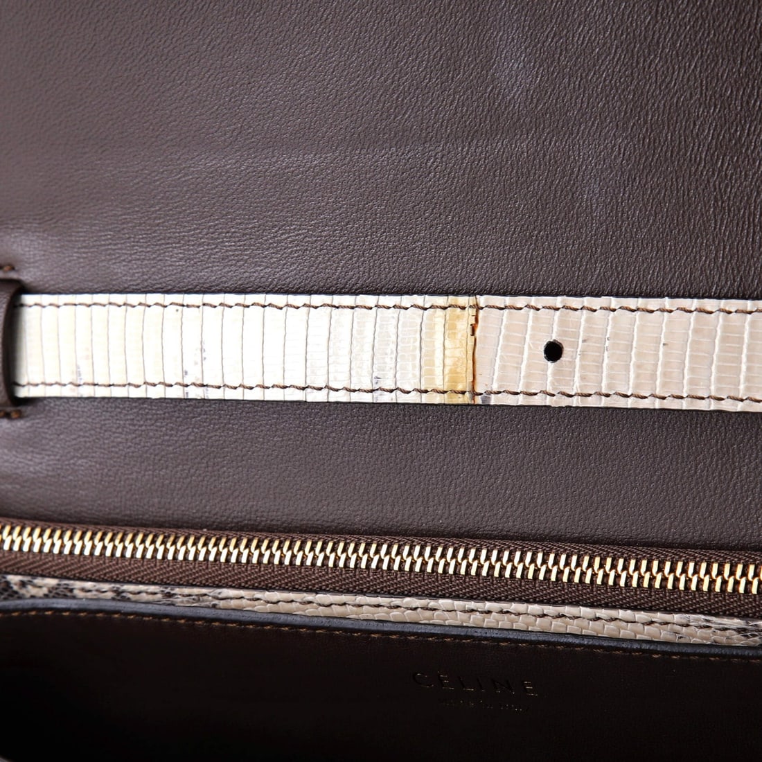 Celine Classic Medium Box Bag in Lizard - 8