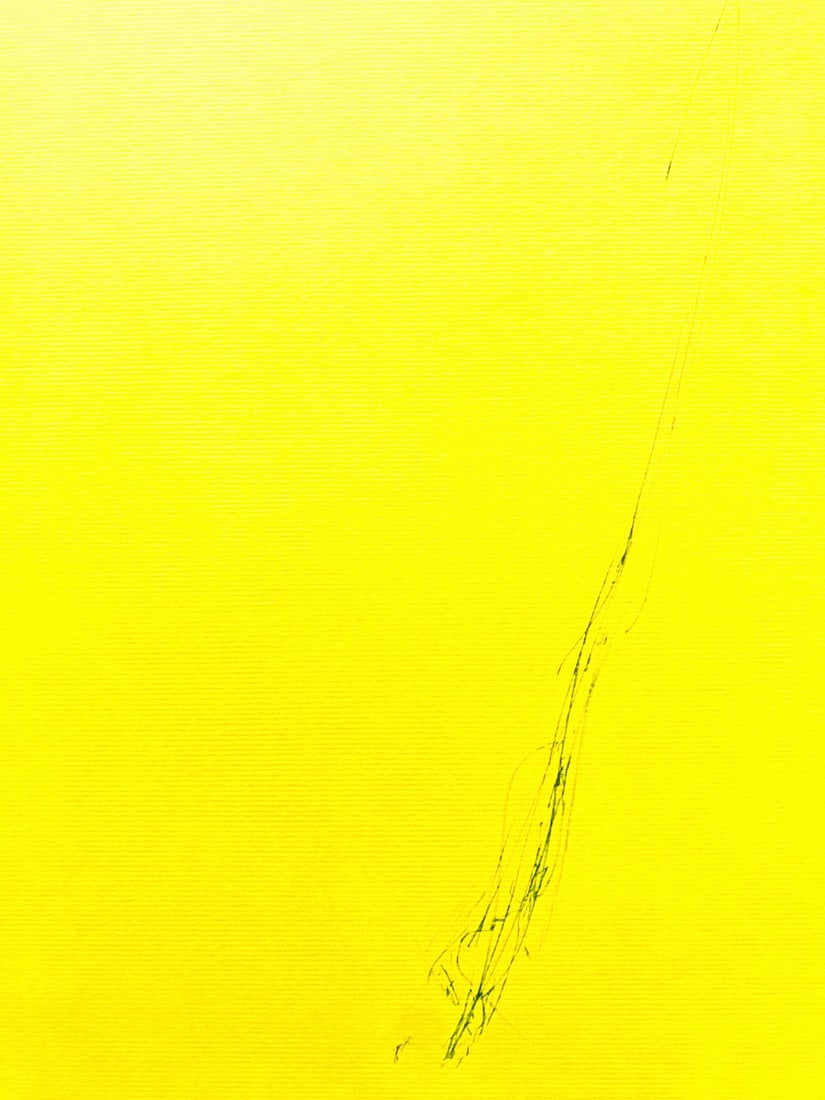 Stamp Dan Flavin Lithograph Op Numbered - 3