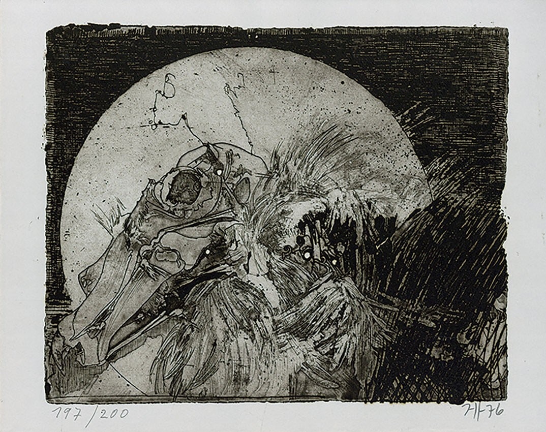 1976 Horst Janssen Copperplate print Art Limited 200 Like a bird Circle: 1976 Horst Janssen Copperplate print Art Limited 200 Like a bird Circle Experience the beauty of Horst Janssen's unique copperplate print style, captured in 1976 with 'Like a bird Circle'. This limite