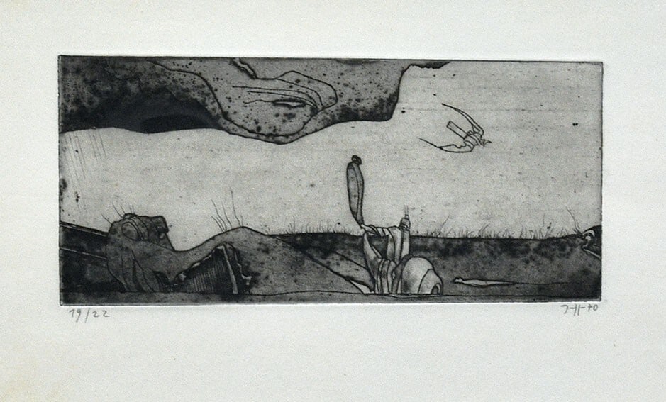 Horst Janssen Copperplate Print, Art Frame, River Bird, 1970, 1021.5cm: Horst Janssen Copperplate Print, Art Frame, River Bird, 1970, 1021.5cm A stunning copperplate print by renowned artist Horst Janssen, created in 1970, captures the beauty of a river bird against a ric