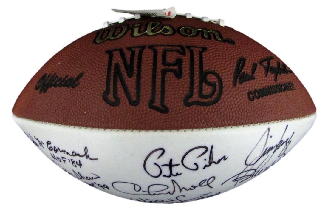 NFL Hall of Famers Multi-Autographed (19) Wilson Football 176393: NFL Hall of Famers Multi-Autographed (19) Wilson Football 176393 Get ready to own a piece of NFL history with this incredible, 19-autographed Wilson football, officially recognized by the Pro Football