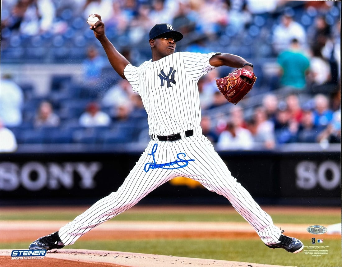 (Steiner) Luis Severino Autographed 11x14 Baseball Photo: (Steiner) Luis Severino Autographed 11x14 Baseball Photo Get ready to showcase your fandom with an authentic piece of baseball history! This 11x14 photo, signed across the front in blue sharpie by