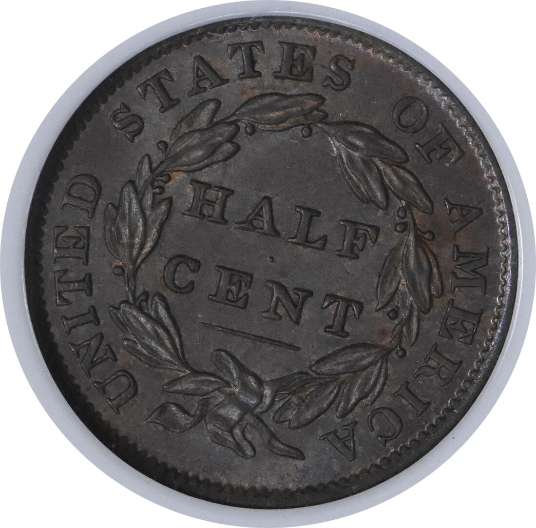 MS64BN Half Cent (1833) - 4