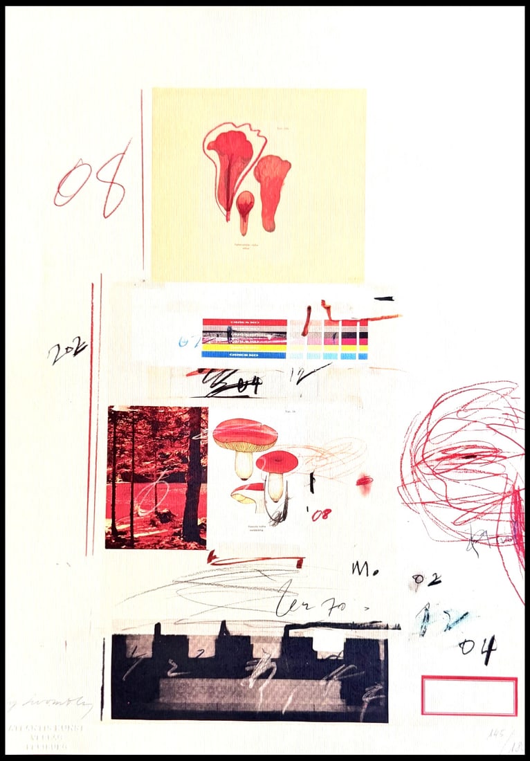 Rare numbered lithograph by Cy Twombly (1 of 14)