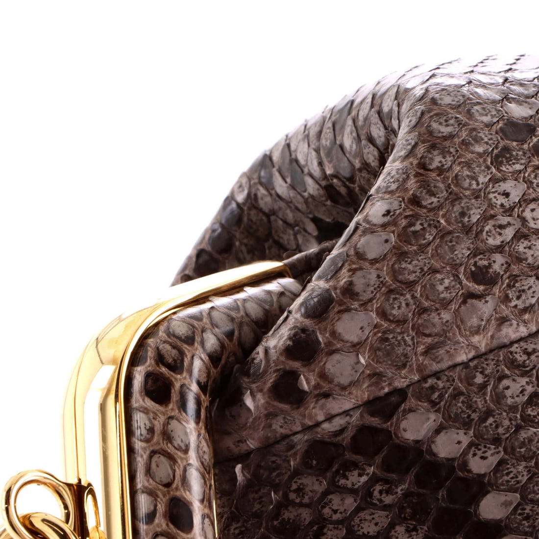 Fendi First is a small python bag. - 6