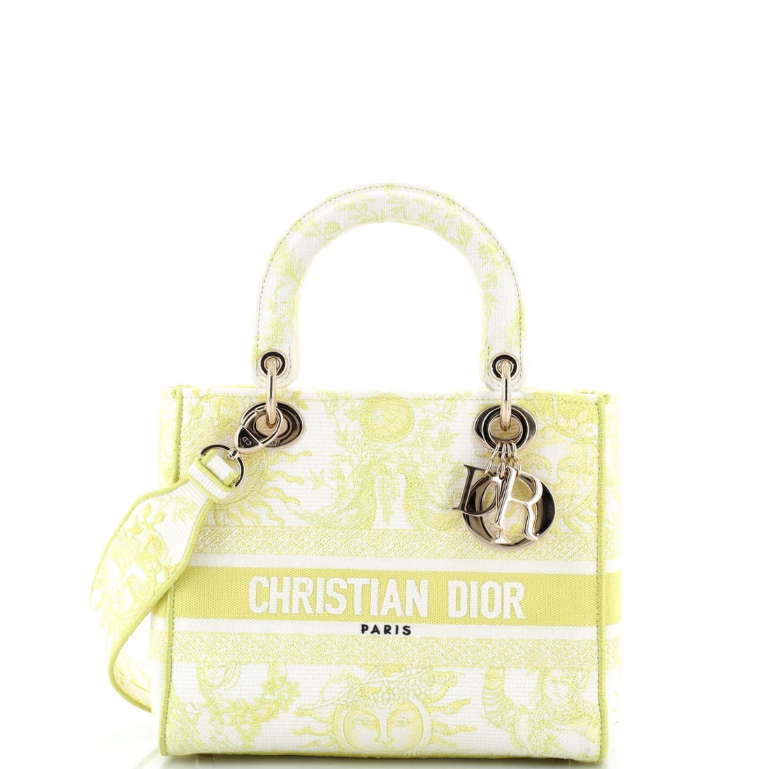 Christian Dior Lady D-Lite Bag is embroidered on medium canvas. (1 of 5)