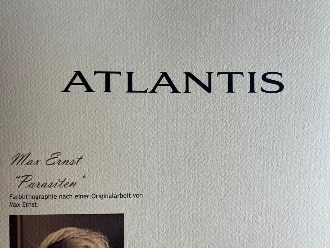 Lithograph by Max Ernst - 12