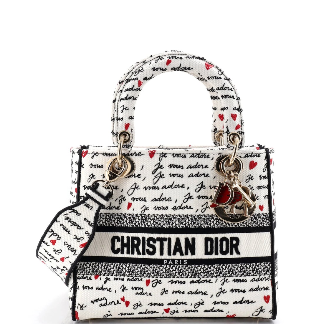 Christian Dior Lady D-Lite Bag is embroidered on medium canvas. (1 of 6)