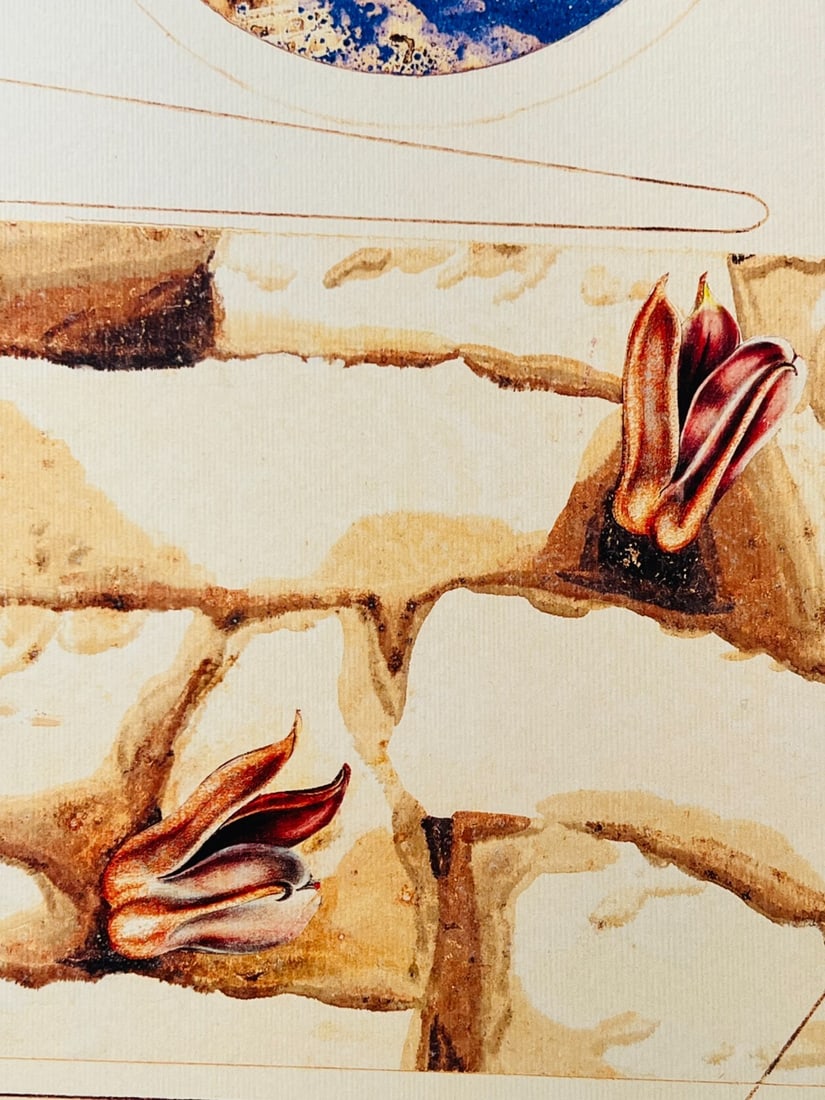 Max Ernst Lithograph Ink Numbered - 4