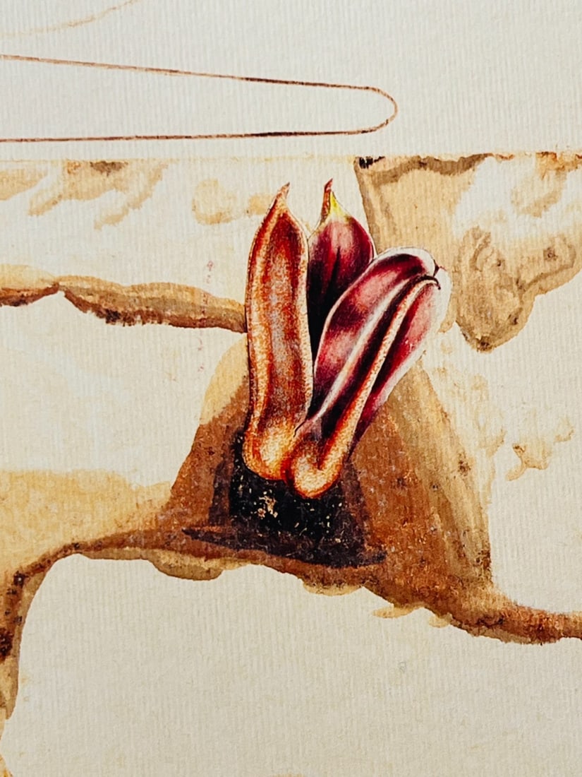 Max Ernst Lithograph Ink Numbered - 5