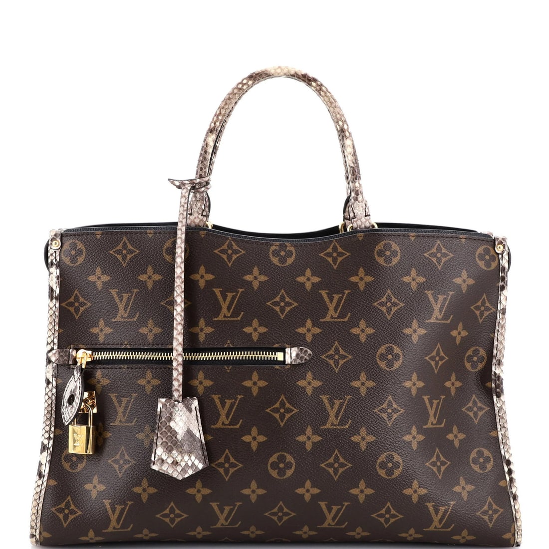 Louis Vuitton handbag canvas python monogram popincourt (1 of 8)