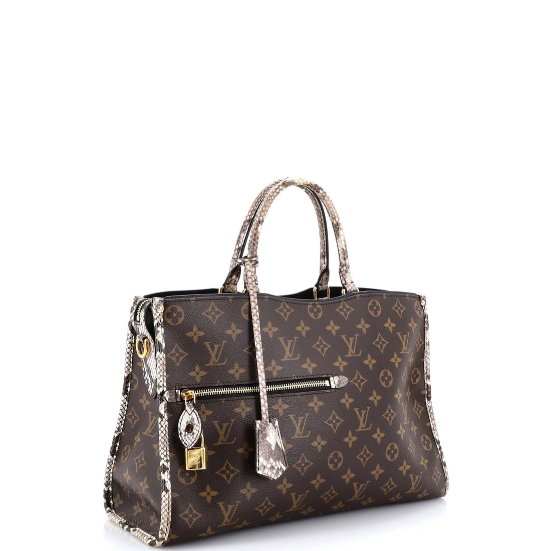 Louis Vuitton handbag canvas python monogram popincourt - 2