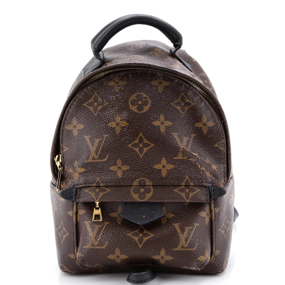 Louis Vuitton Palm Springs Backpack Monogram Canvas Mini (1 of 8)