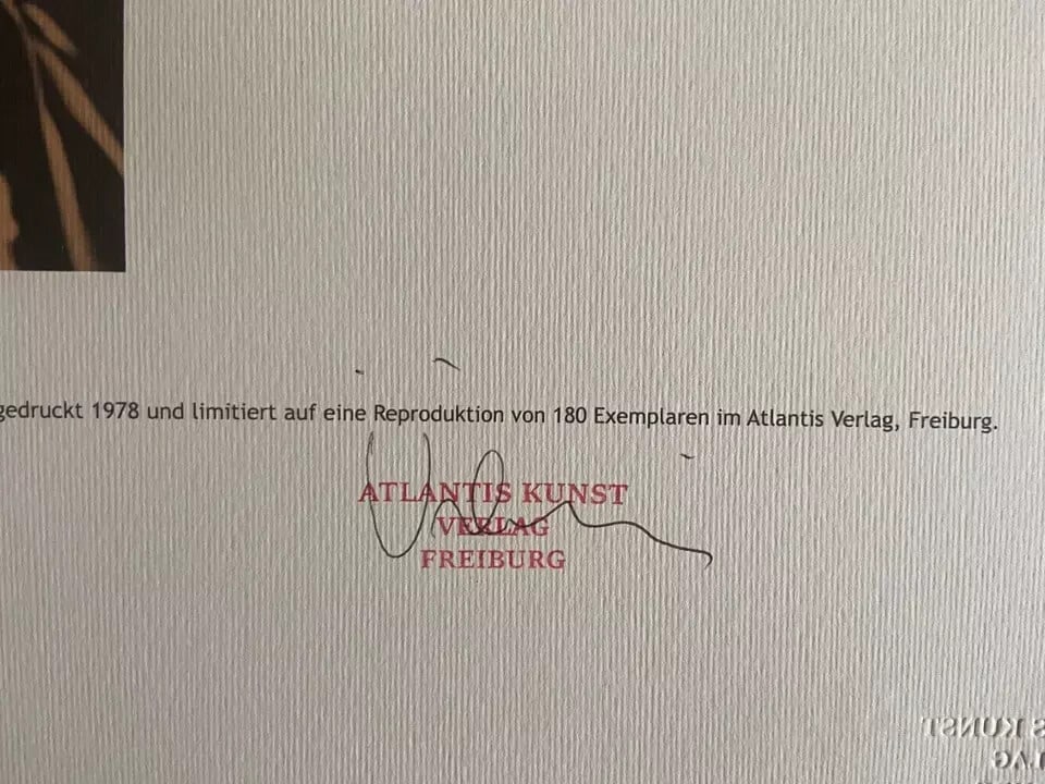 Marc Chagall Lithograph Collection - 11