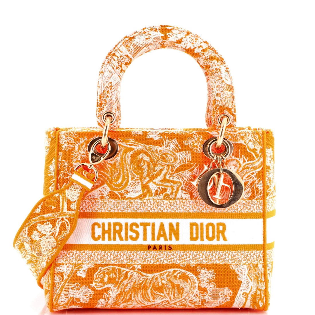 Christian Dior Lady D-Lite Bag is embroidered on medium canvas.: Christian Dior Lady D-Lite Bag is embroidered on medium canvas. The Christian Dior Lady D-Lite Bag is a vibrant and stylish accessory, boasting an eye-catching orange canvas exterior with gold tone