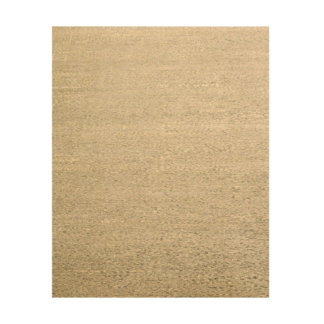 7'9"x9'7" Beige Tone on Tone Natural Wool Grass Design Hand Knotted Rug: 7'9"x9'7" Beige Tone on Tone Natural Wool Grass Design Hand Knotted Rug Experience the timeless beauty of India's rich cultural heritage with this stunning hand-knotted wool rug, expertly woven in a