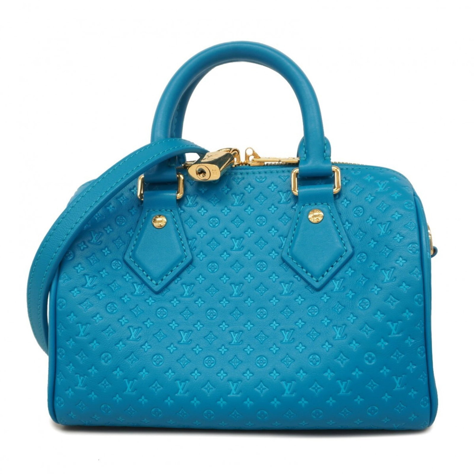 Louis Vuitton is a handbag (1 of 9)