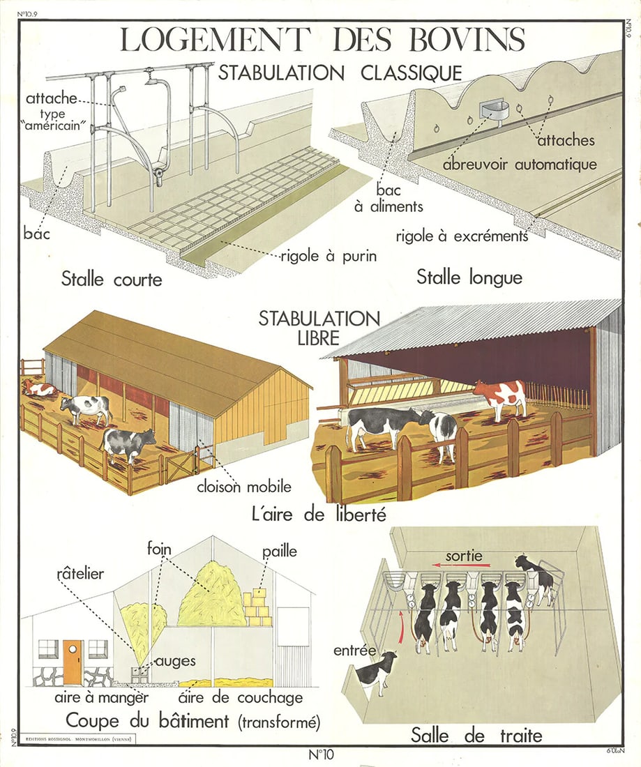 EMILE DEYROLLE Logement Des Bovins 35.5" x 29.5" Offset Lithograph 1960 Contempo (1 of 4)
