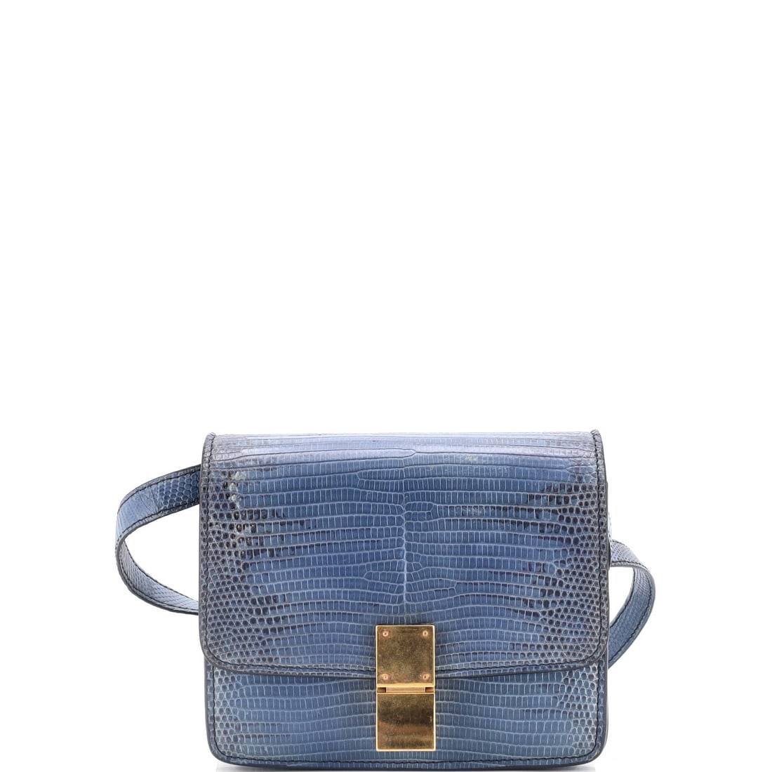 Celine classic small box bag lizard (1 of 8)