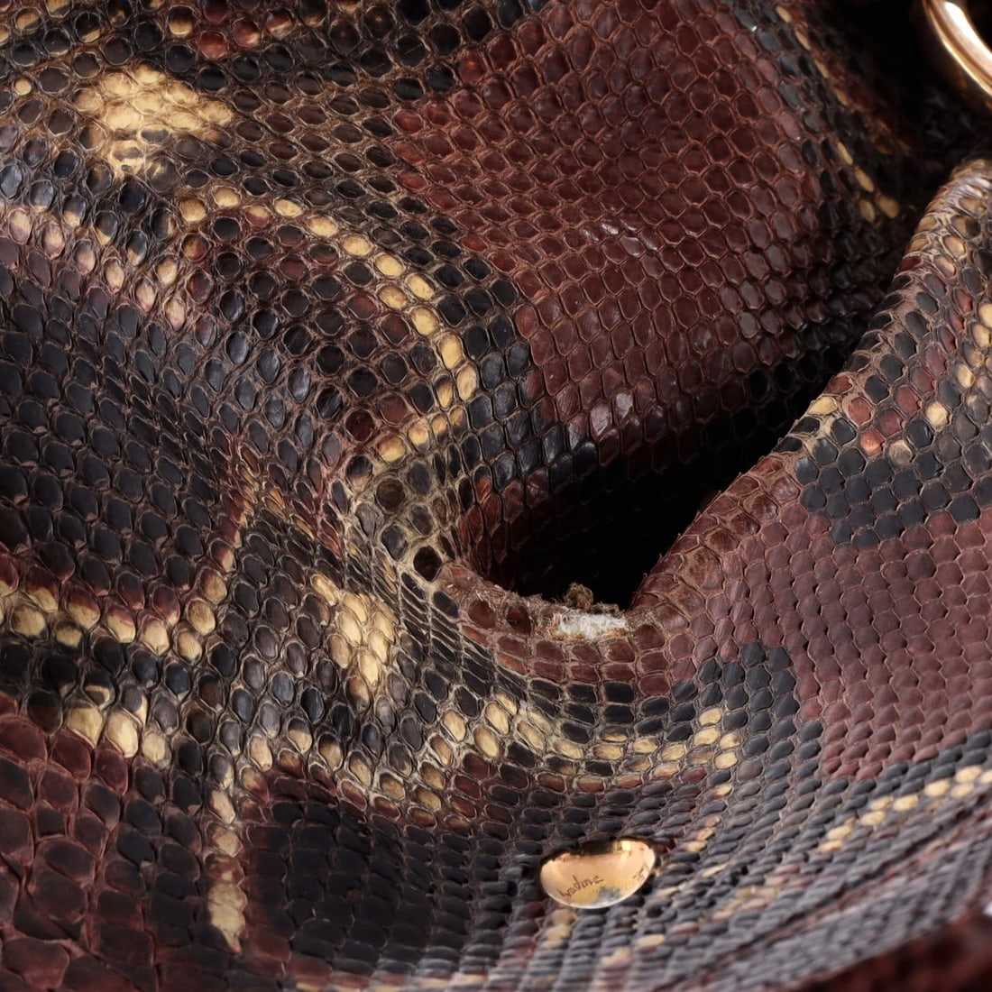 Salvatore Ferragamo medium satchel in python. - 7