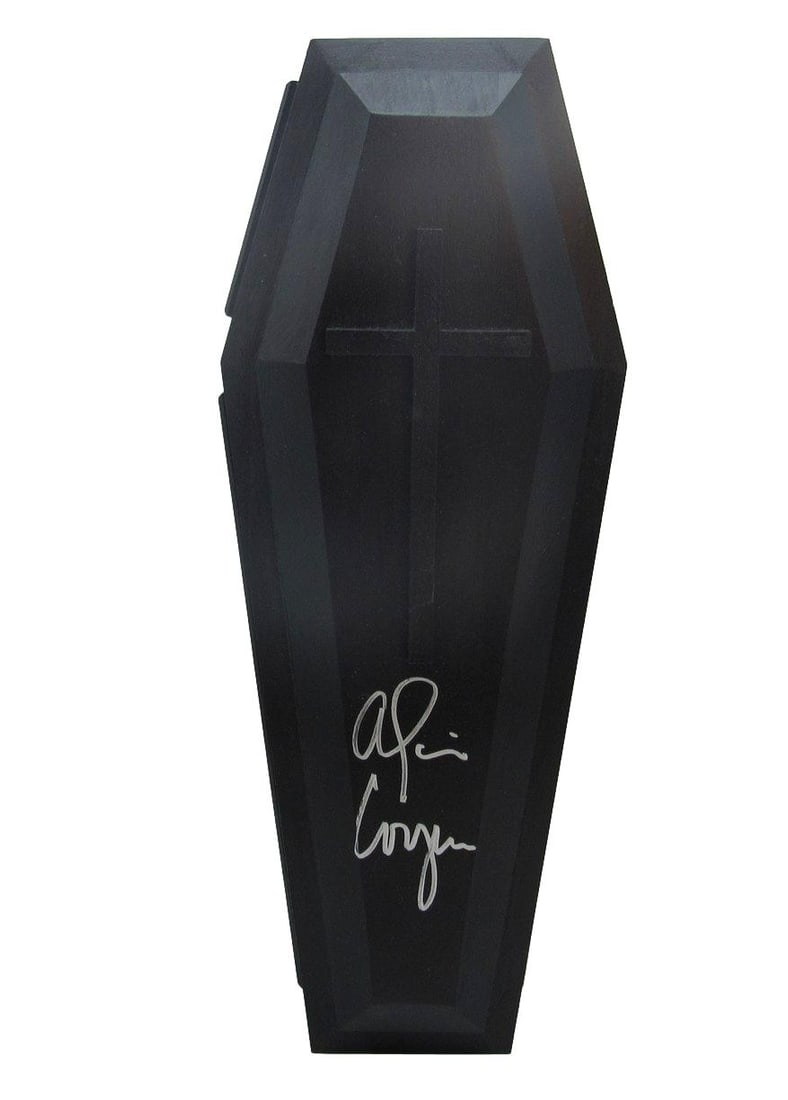 Alice Cooper Singer Signed/ Inscr 16 Inch Coffin Box w/ 6 Guitar Picks JSA 204904 (1 of 9)