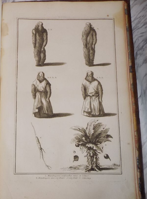 1783 Picart Vol.4 Superstitions Folio Engravings Bacchanalia Occult Rare (1 of 10)