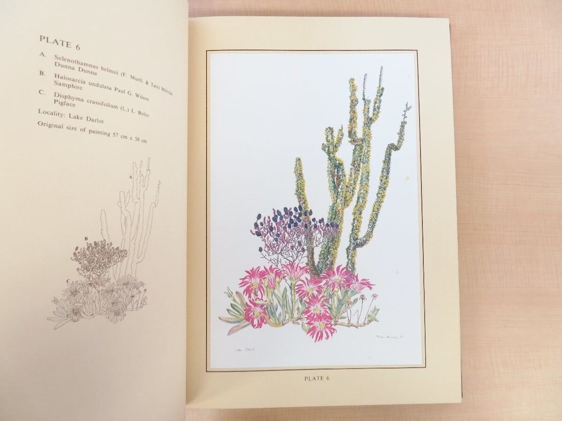 Flowering Plants of the Eastern Goldfields of Western Australia 1st Edition 1983 (1 of 10)