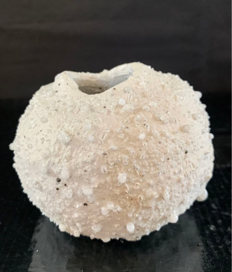 Shiro Tsujimura Shigaraki Small Vase B 2022 Japanese handicraft Rare Collectible (1 of 9)