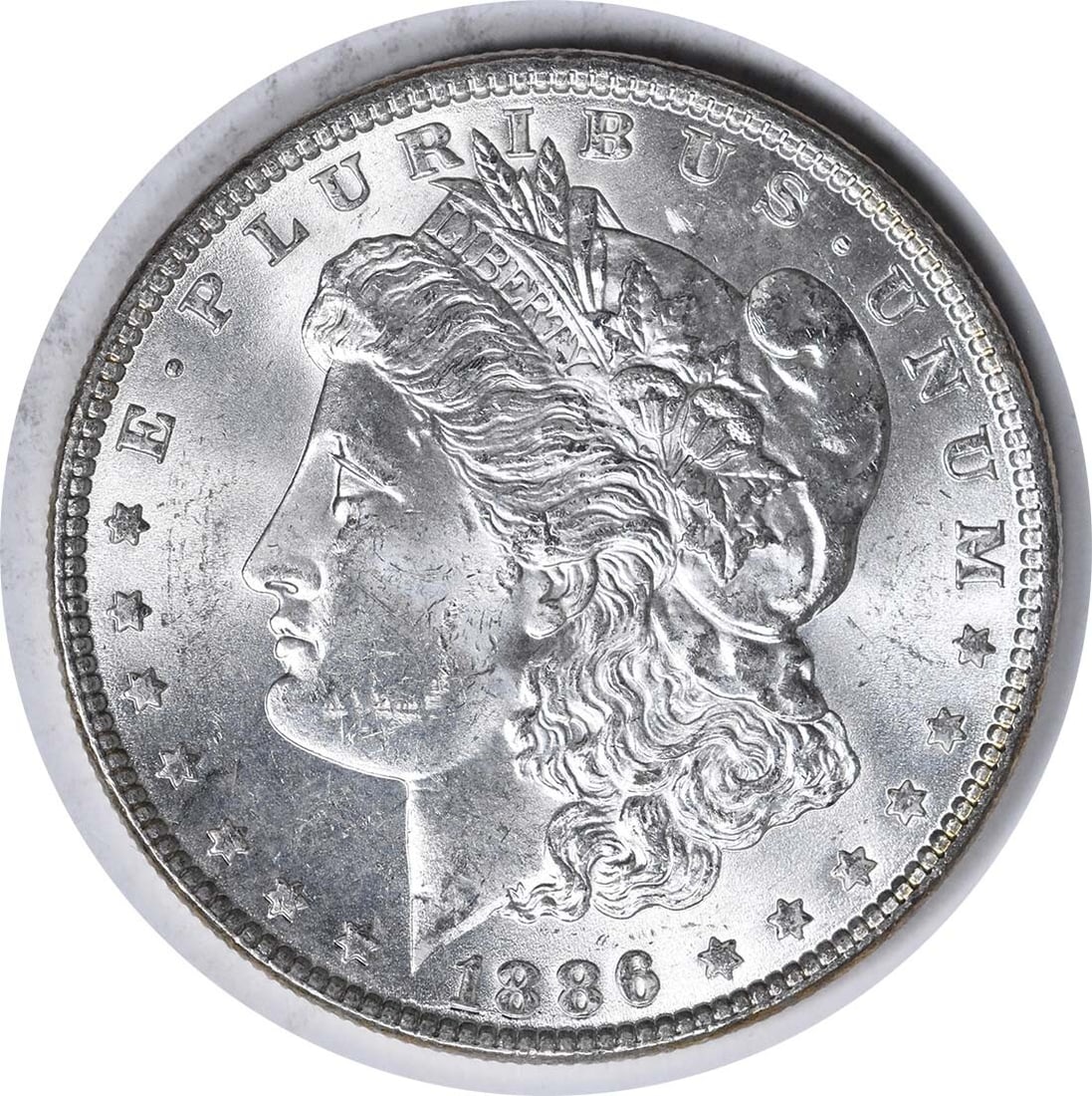 Morgan Silver Dollar VAM 1A Line in 6 Choice BU Uncertified (1 of 2)