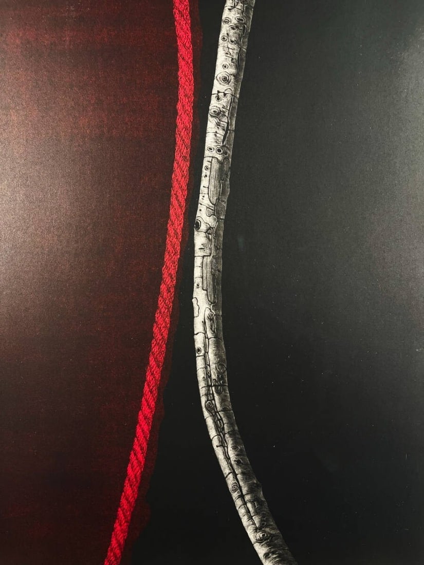 Katsunori Hamanishi Division Work No 27 Mezzotint 1991 Print Fine Art (1 of 10)