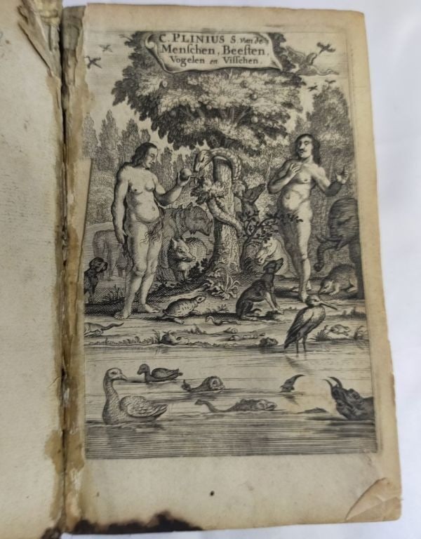 Pliny Natural History 1662 Amsterdam Illustrated 53 Engravings Dutch Vellum (1 of 10)