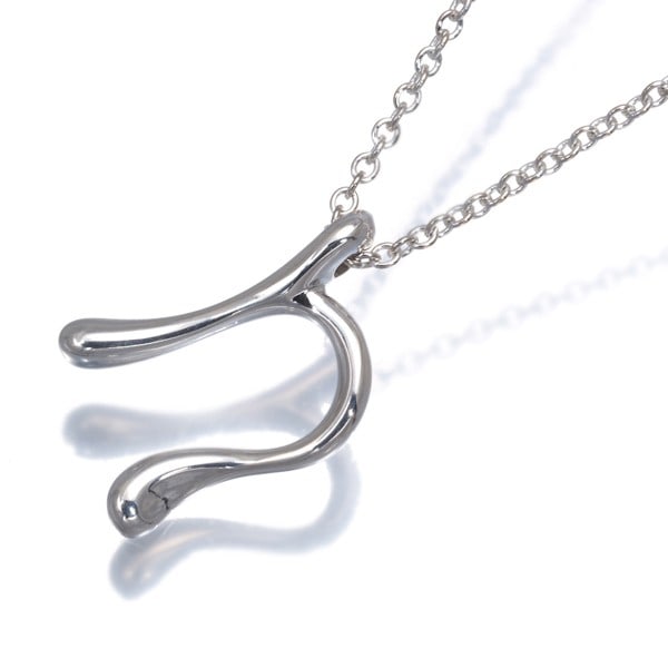 Tiffany and Co. sterling silver necklace with alphabet letter initial of N. (1 of 4)