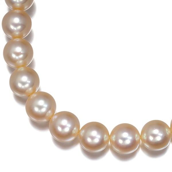 Golden Pearl Necklace 750 Yellow Gold 18K 7.0-7.5Mm: Golden Pearl Necklace 750 Yellow Gold 18K 7.0-7.5Mm Yellow gold 18k metal provides a luxurious backdrop for this Akoya pearl necklace. The main stone measures 7.0-7.5mm in diameter, adding a touch of