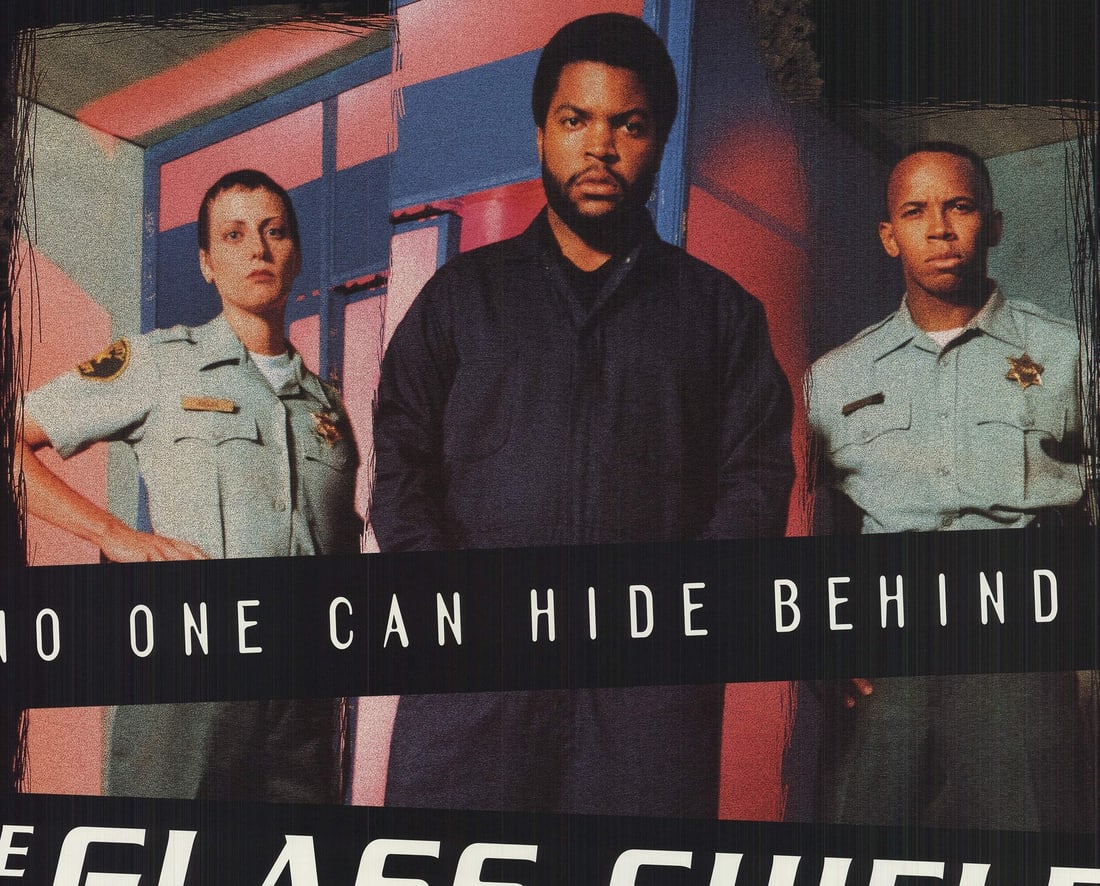 Glass Shield - 3