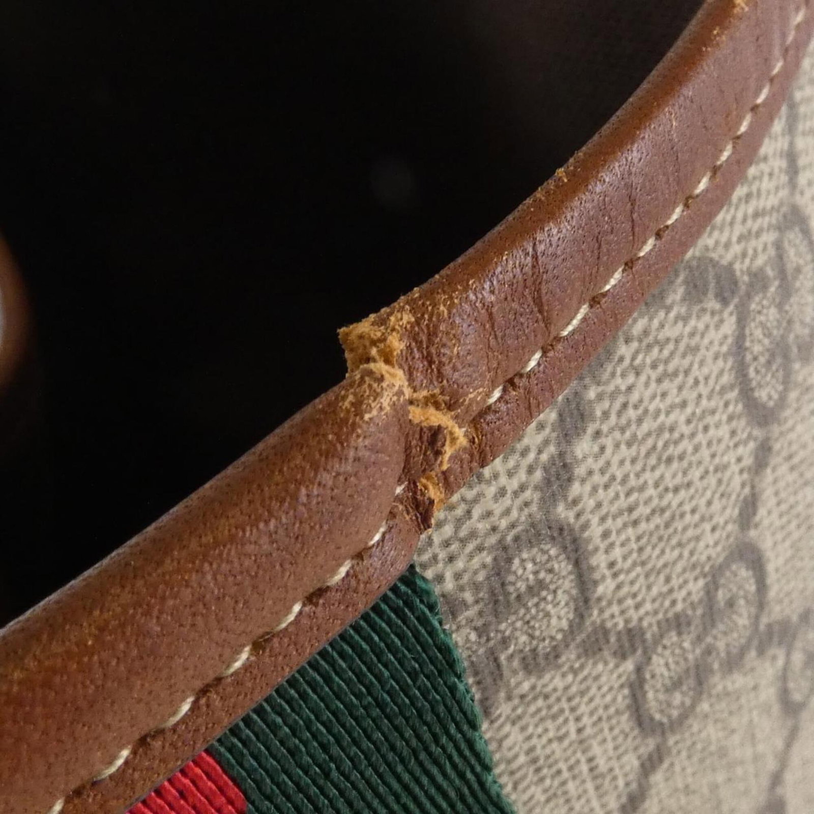 Gucci Handbag Gg Plus - 4