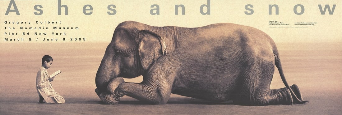 Boy Reading to Gregory Colbert Elephant 13.25" x 38.75 (1 of 4)