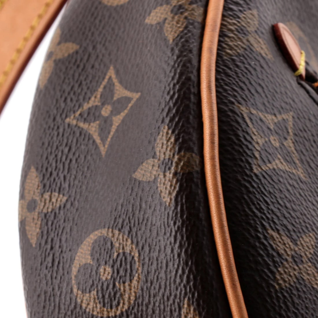 Monogram Canvas Handbag Loop Louis Vuitton - 6