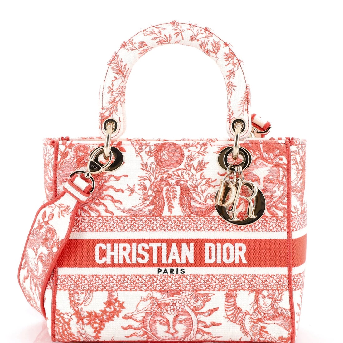 Lady D-Lite Bag Christian Dior Embroidered Medium Canvas (1 of 5)