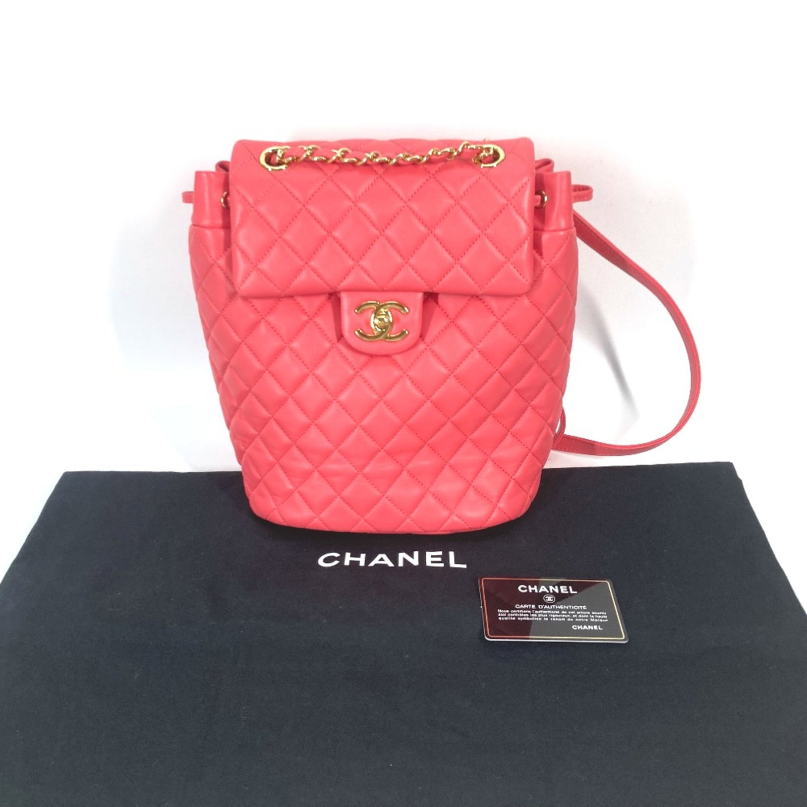 Chanel Backpack Leather - 17