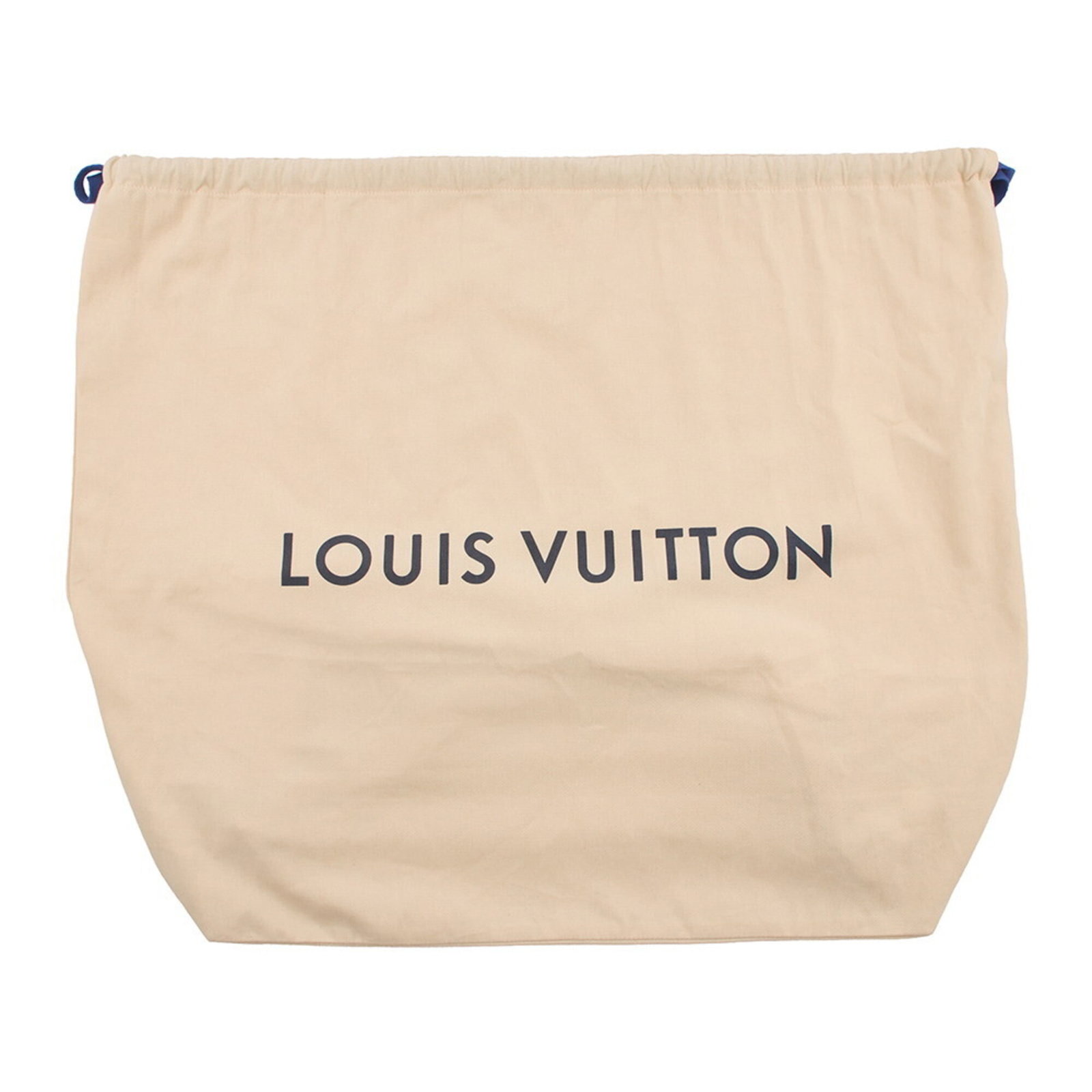 Louis Vuitton Backpack - 17