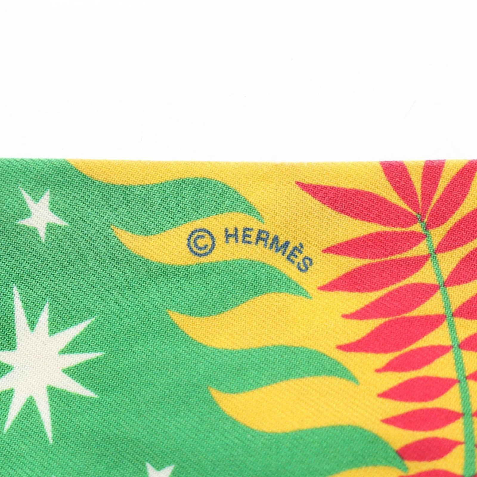 Hermes Scarf Silk - 2