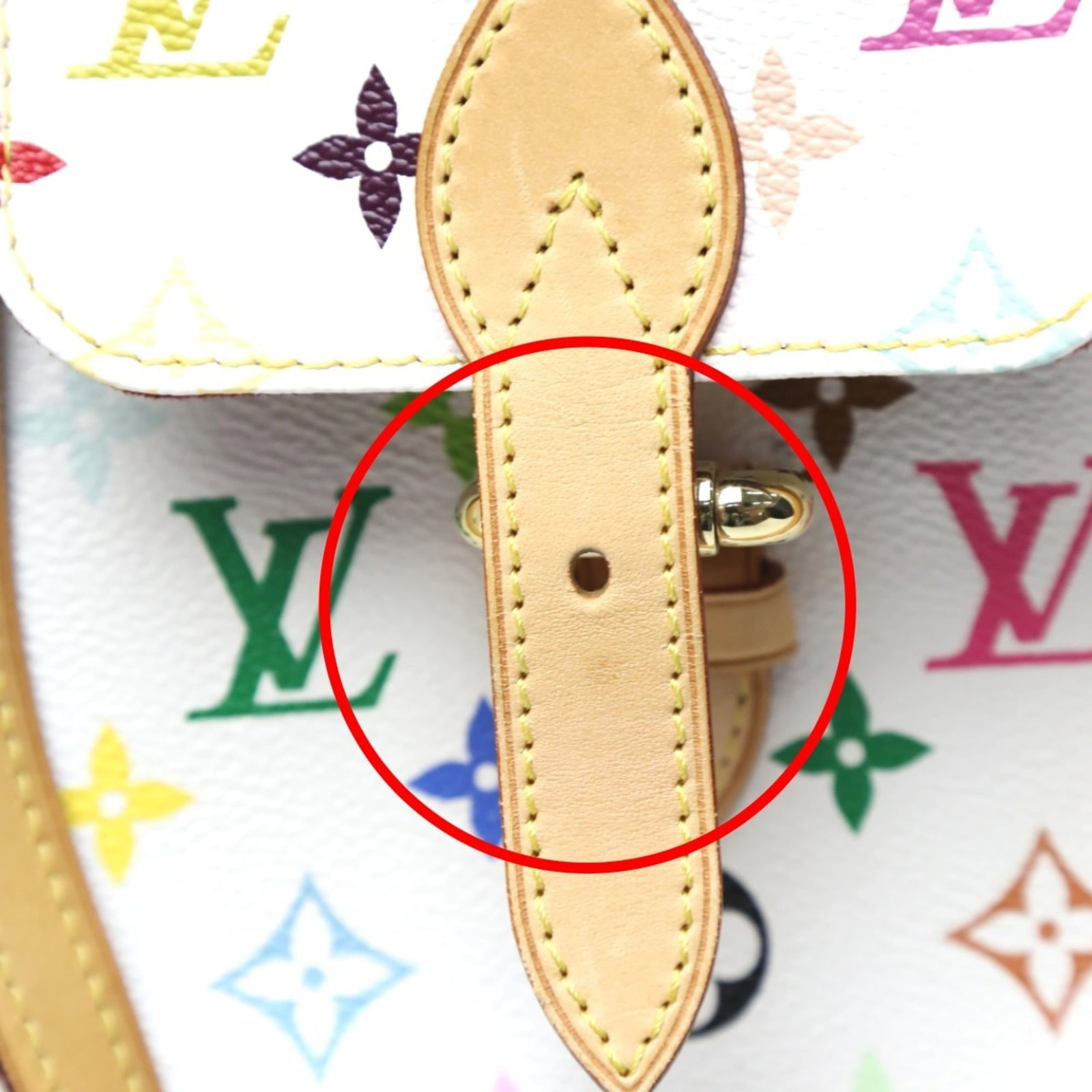 Louis Vuitton Handbag Monogram Multicolore - 13