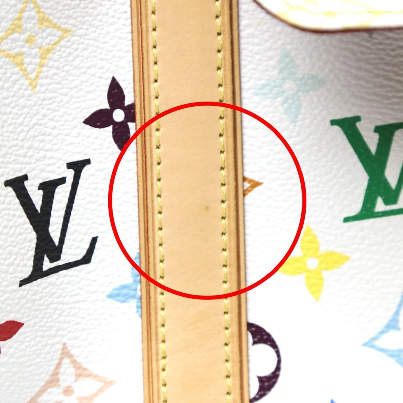 Louis Vuitton Handbag Monogram Multicolore - 14