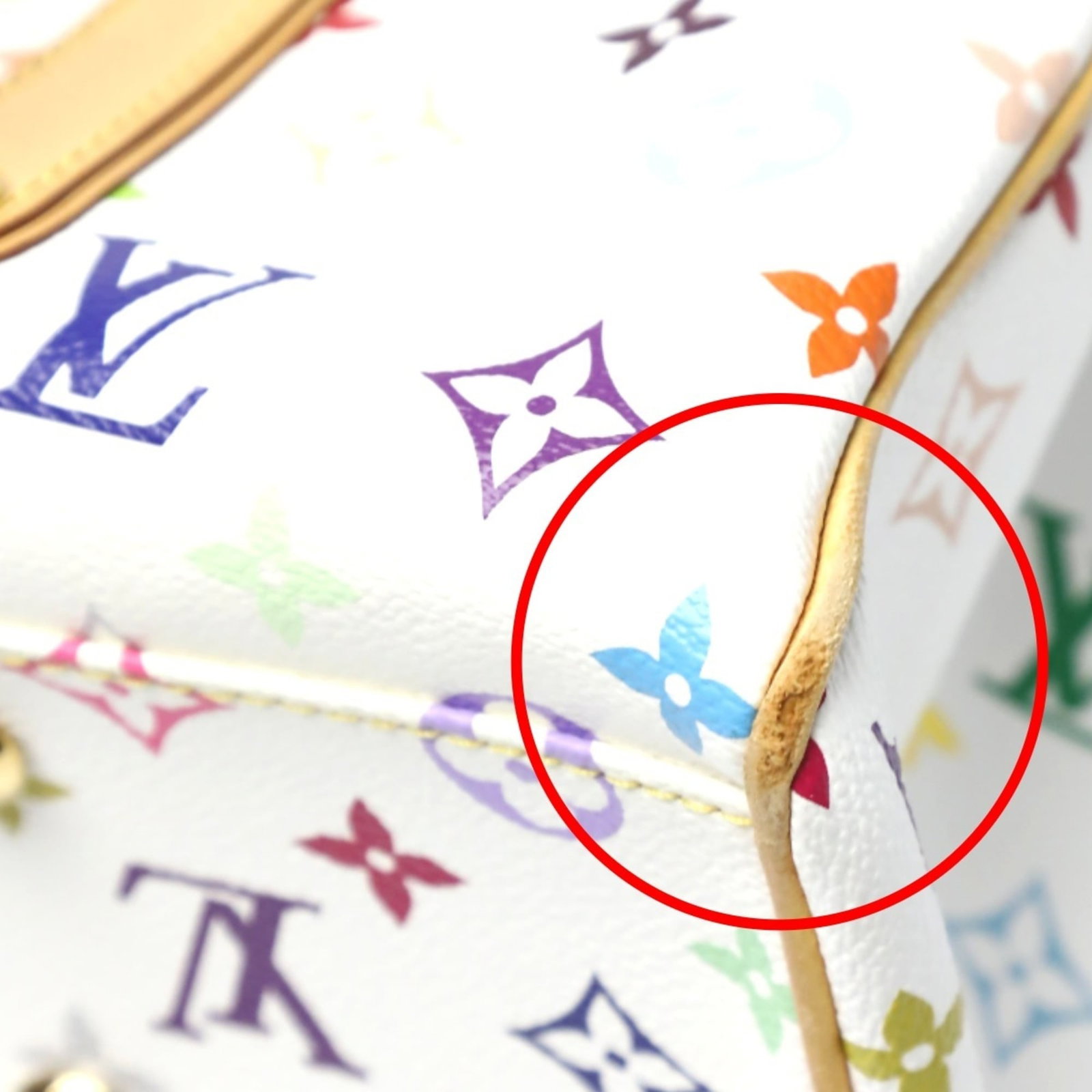 Louis Vuitton Handbag Monogram Multicolore - 9